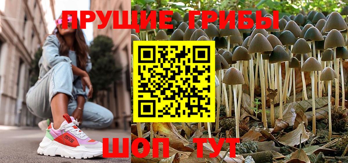 Чапаевск  Галлюциногенные грибы мицелий  Вход с VPN 